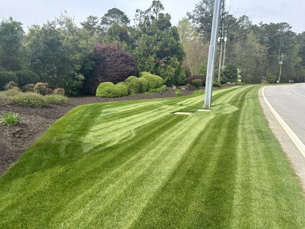 Top-rated residential landscaping experts serving Grovetown, GA - CSRA Ground Control