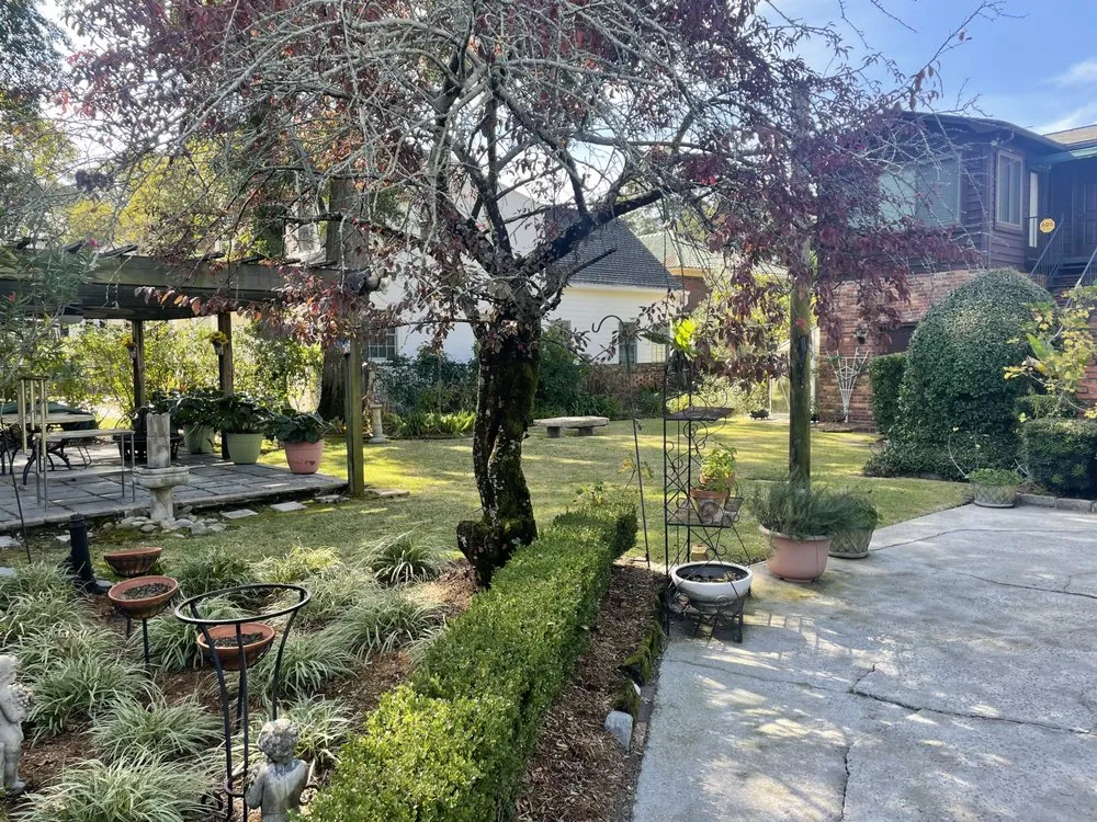 Trusted yard cleanup service for outdoor upgrades across Grovetown, GA - CSRA Ground Control