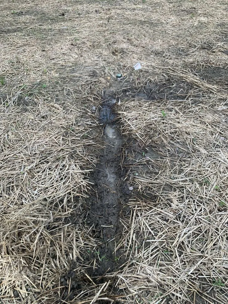 Local yard cleanup service experts serving Grovetown, GA - CSRA Landscape And Design