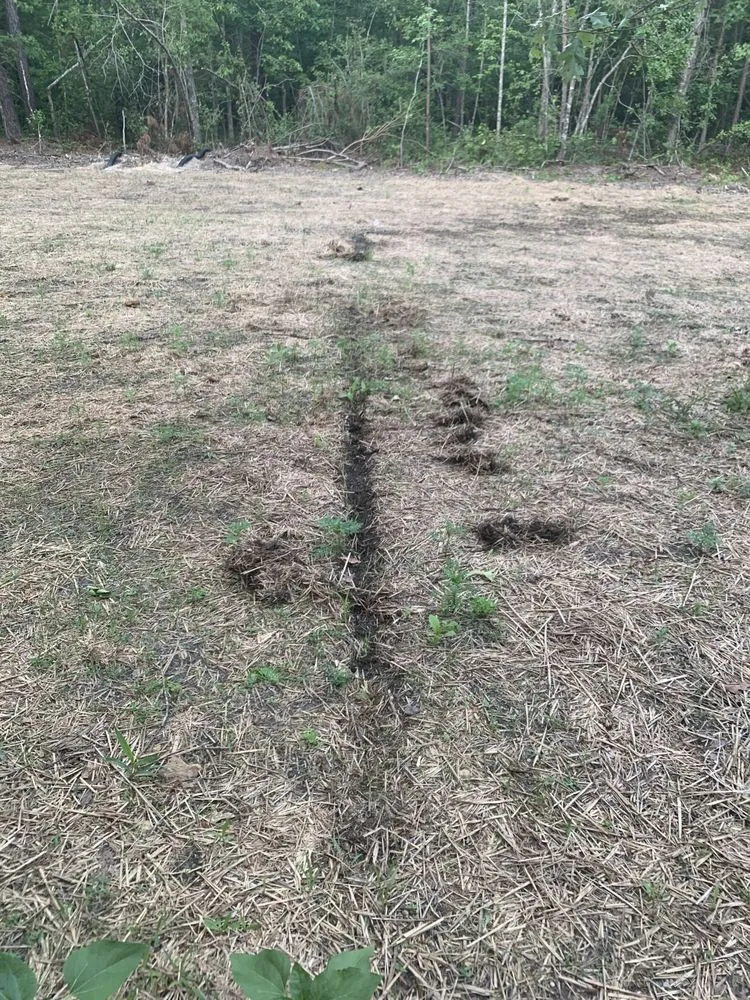 Local landscape installation in Grovetown, GA by CSRA Landscape And Design