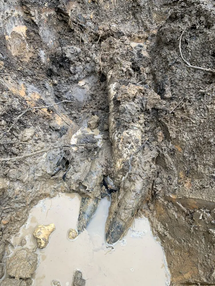 Local landscape design with custom design in Grovetown, GA by CSRA Landscape And Design