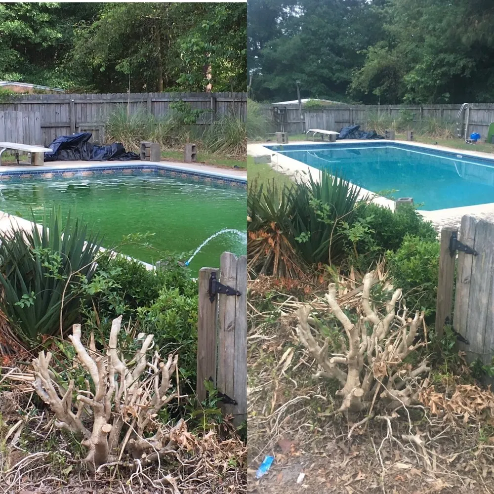 Professional landscaping services experts serving North Augusta, SC - Csra Pool Maintenance Professionals