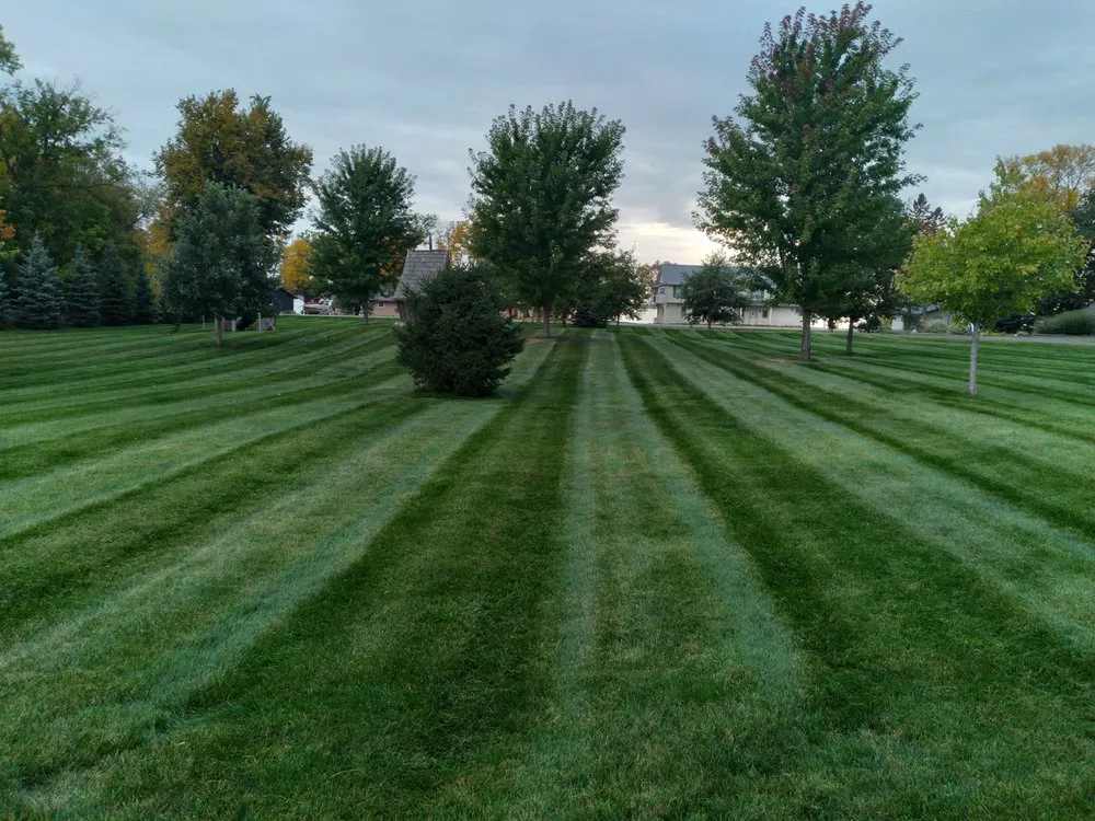 Local outdoor landscaping experts serving Alexandria, MN - Css Property Services