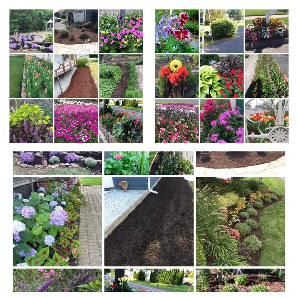 Top-rated landscape design with custom design across Bethany, CT - CT GardenScapes