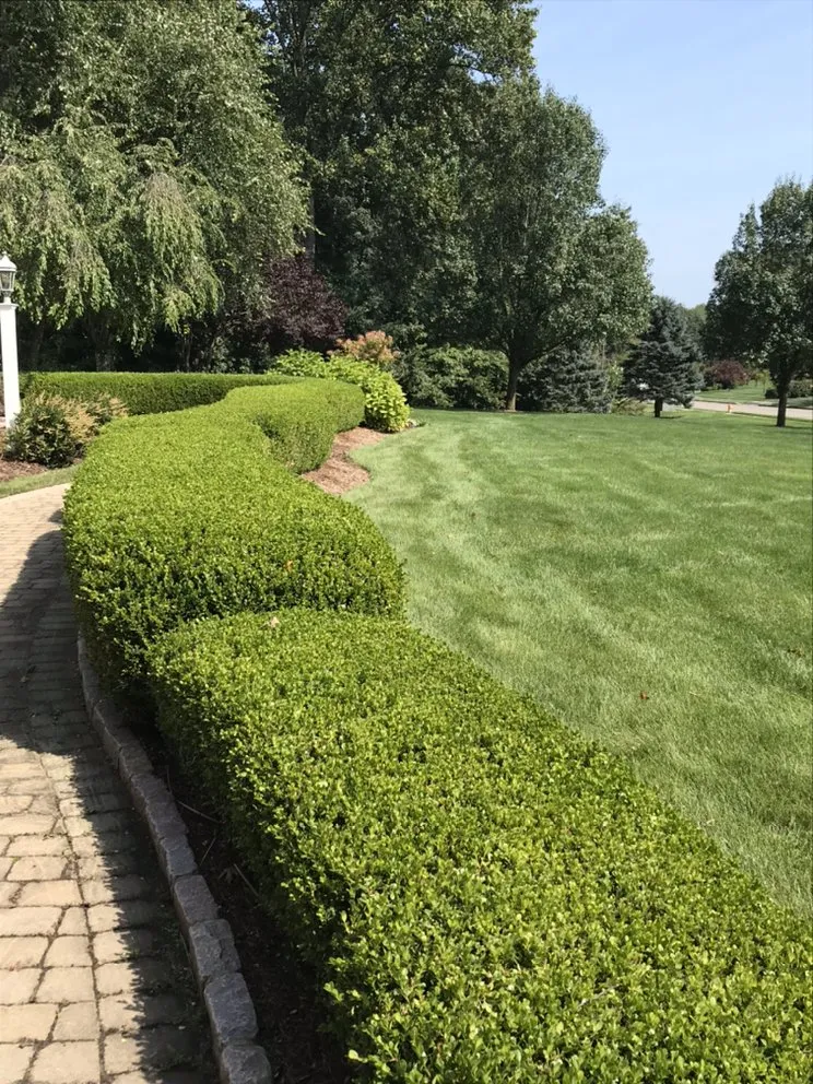 Professional residential landscaping for year-round maintenance in Bethany, CT by CT GardenScapes