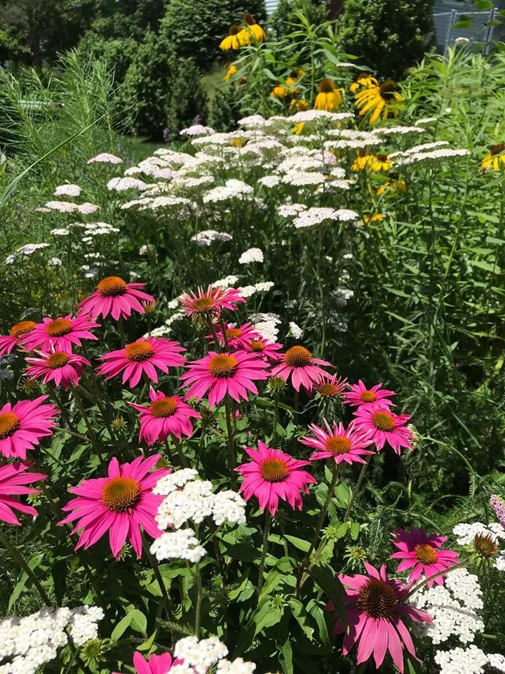 Custom landscape design in Bethany, CT - CT GardenScapes