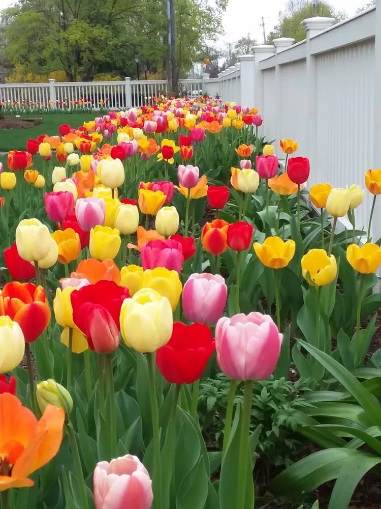 Reliable landscaping services experts serving Bethany, CT - CT GardenScapes