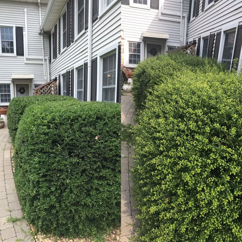 Local residential landscaping experts serving Bethany, CT - CT GardenScapes