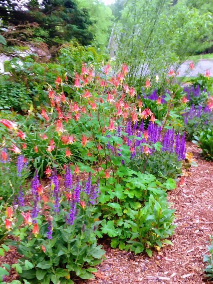 Top-rated outdoor landscaping in Bethany, CT by CT GardenScapes