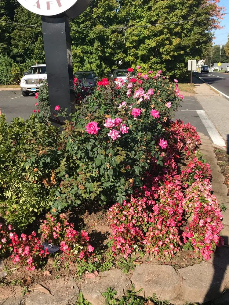 Reliable yard maintenance near you across Bethany, CT - CT GardenScapes