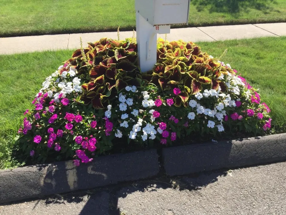 Affordable yard cleanup service for outdoor upgrades in Bethany, CT by CT GardenScapes