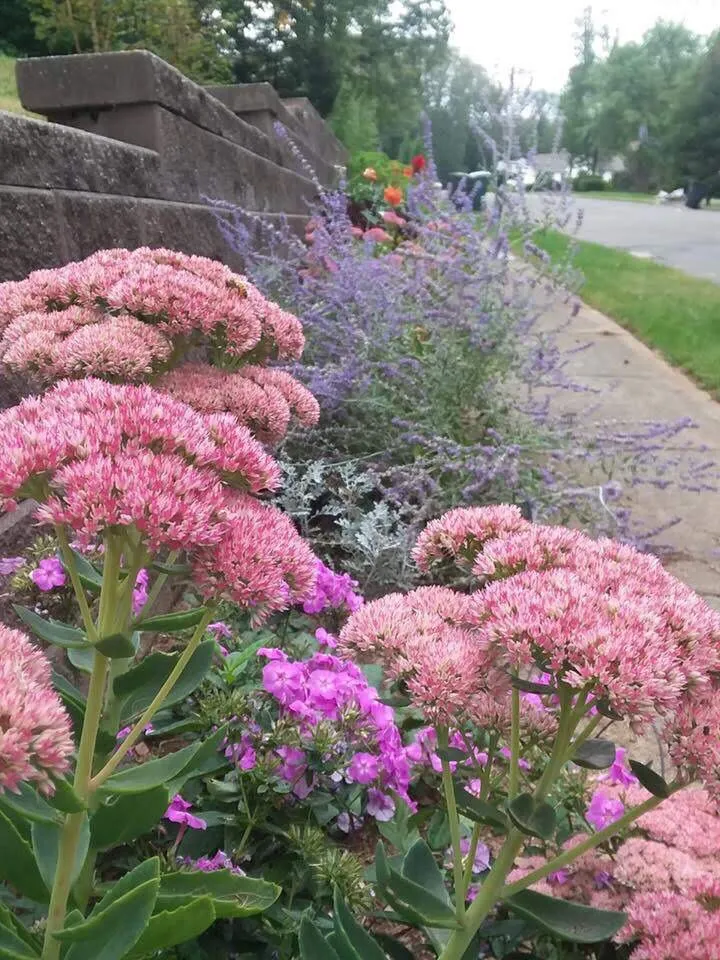Expert residential landscaping in Bethany, CT - CT GardenScapes