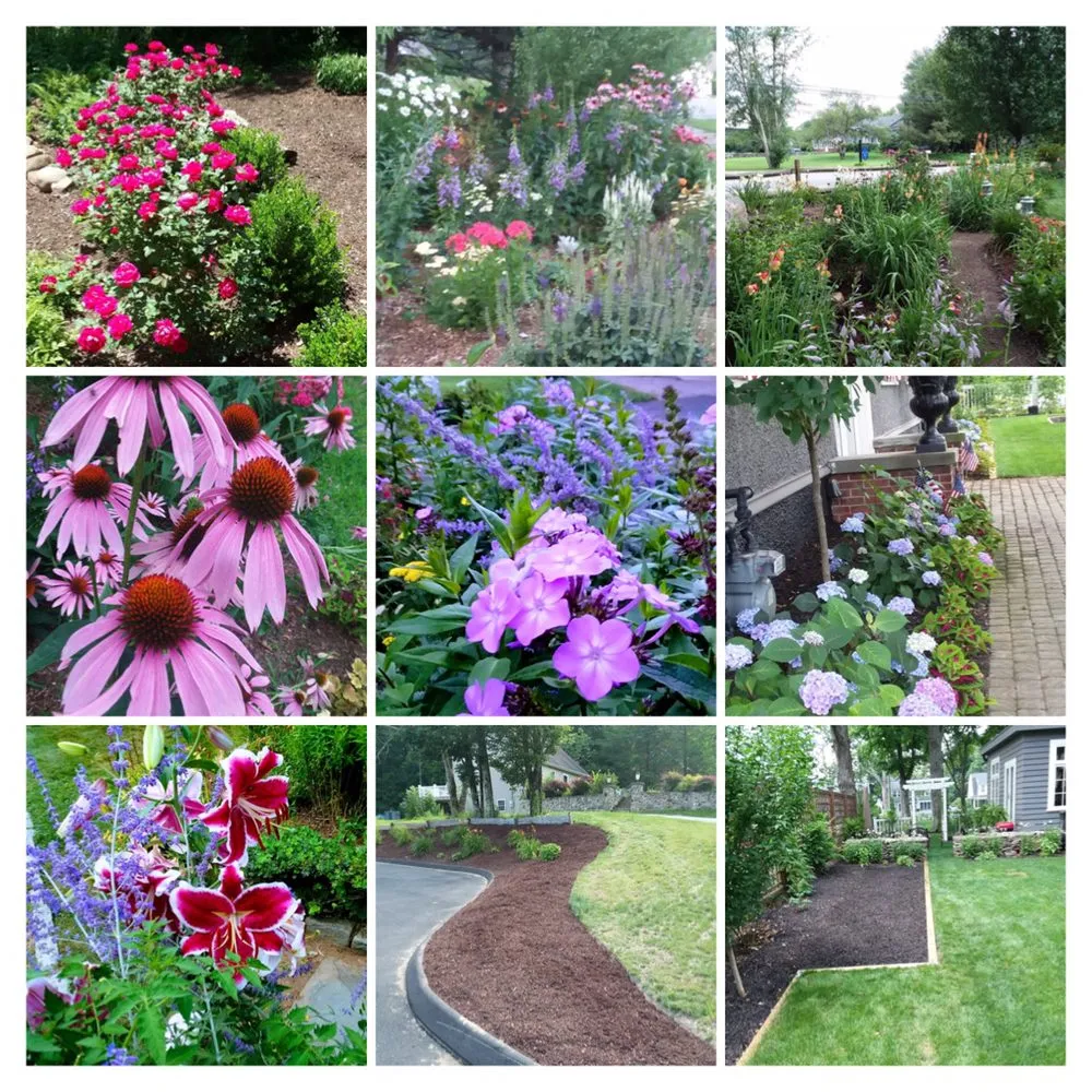 Top-rated residential landscaping for year-round maintenance in Bethany, CT by CT GardenScapes