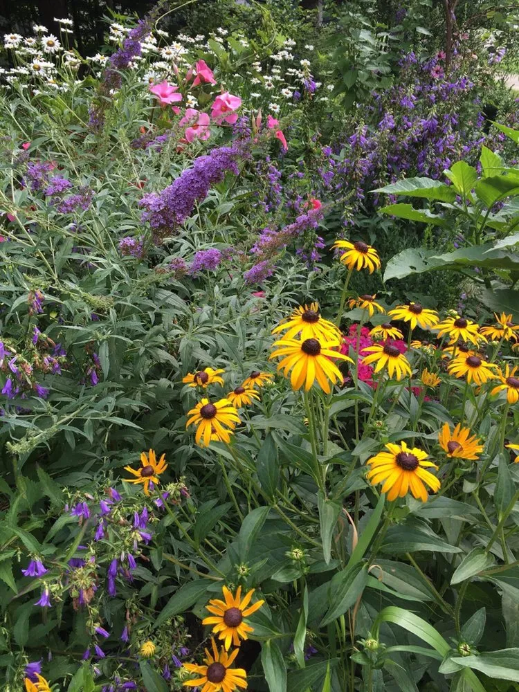 Expert residential landscaping experts serving Bethany, CT - CT GardenScapes