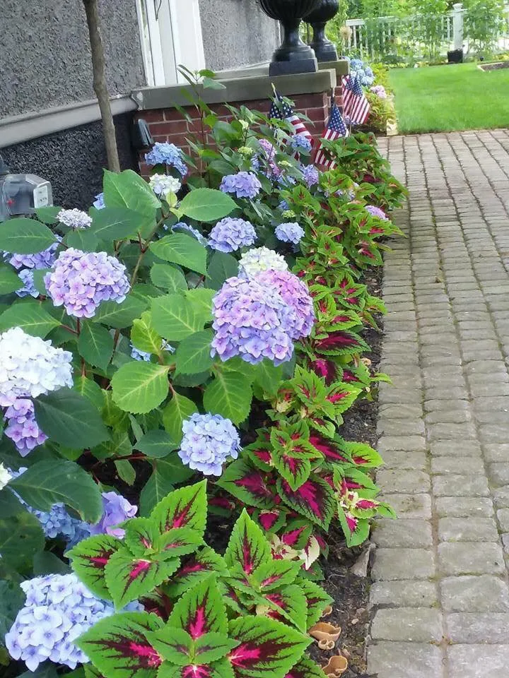 Affordable garden landscaping for residential properties across Bethany, CT - CT GardenScapes