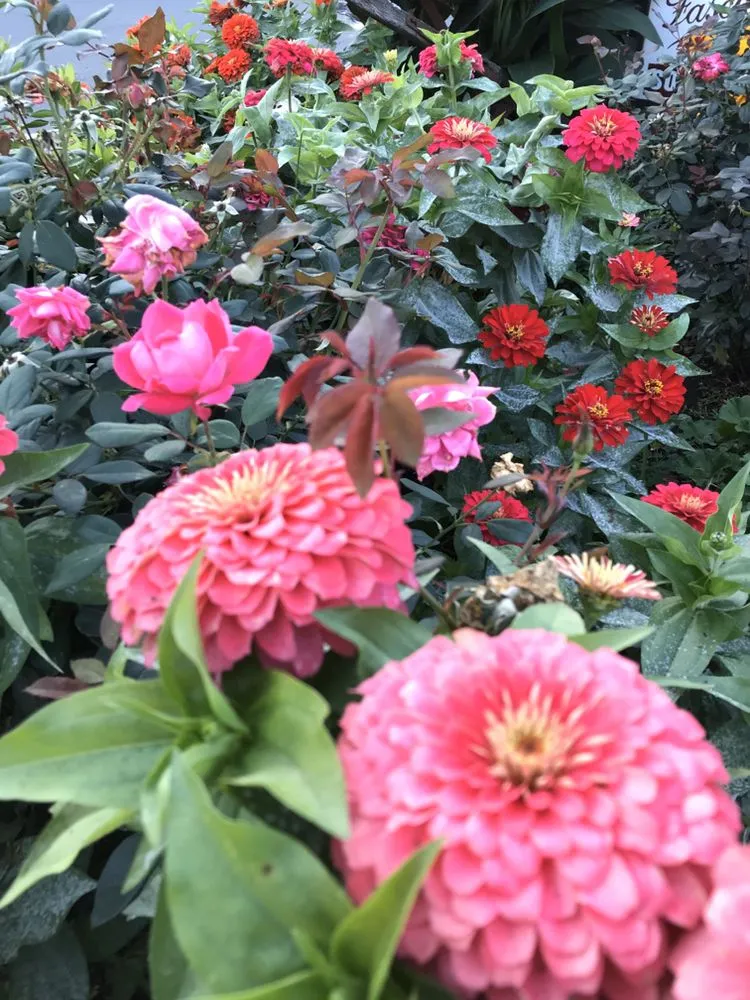 Custom residential landscaping for beautiful yards across Bethany, CT - CT GardenScapes