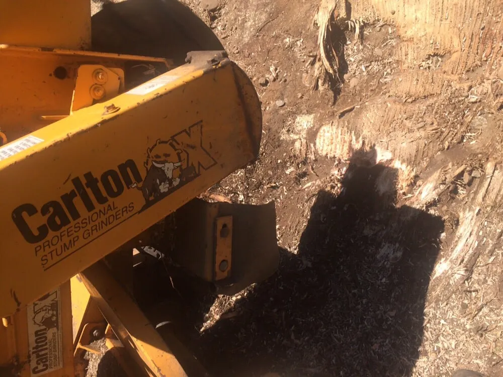 Custom garden landscaping near you across Easton, CT - CT Green