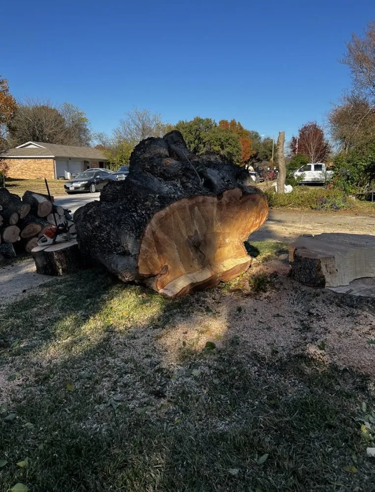 Professional yard cleanup service for homes across Grand Lake, CO - C&T Land Solutions Contracting