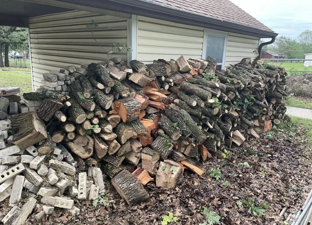 Trusted yard cleanup service experts serving Grand Lake, CO - C&T Land Solutions Contracting
