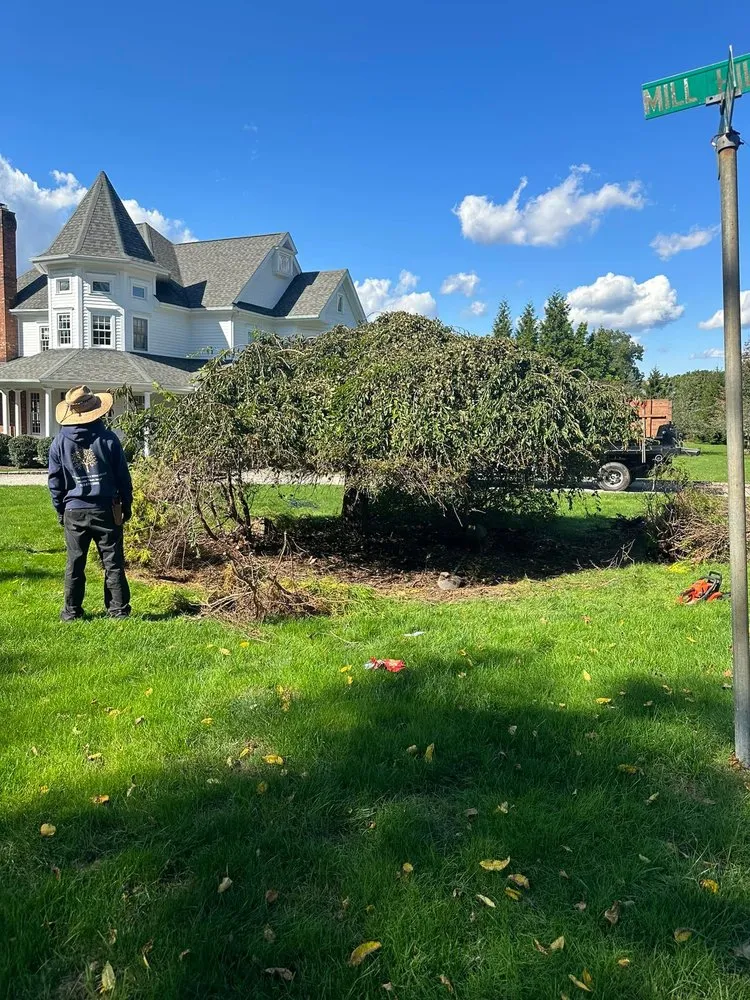 Local landscape design for year-round maintenance in Bridgeport, CT by CT Landscaping & Services