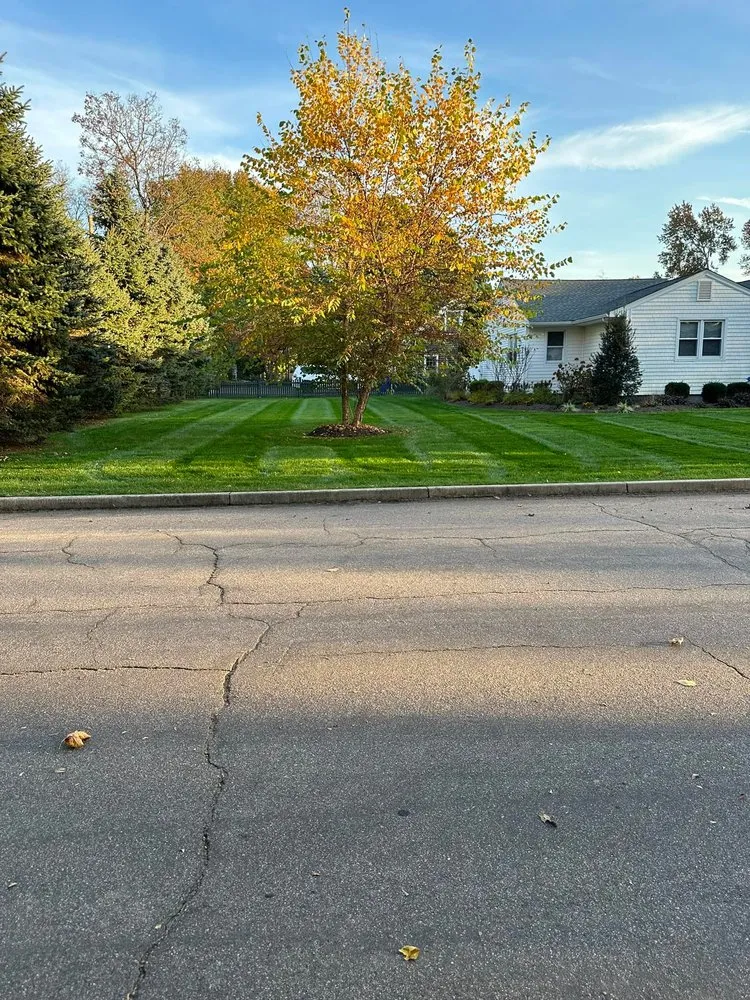 Reliable landscaping services in Bridgeport, CT - CT Landscaping & Services