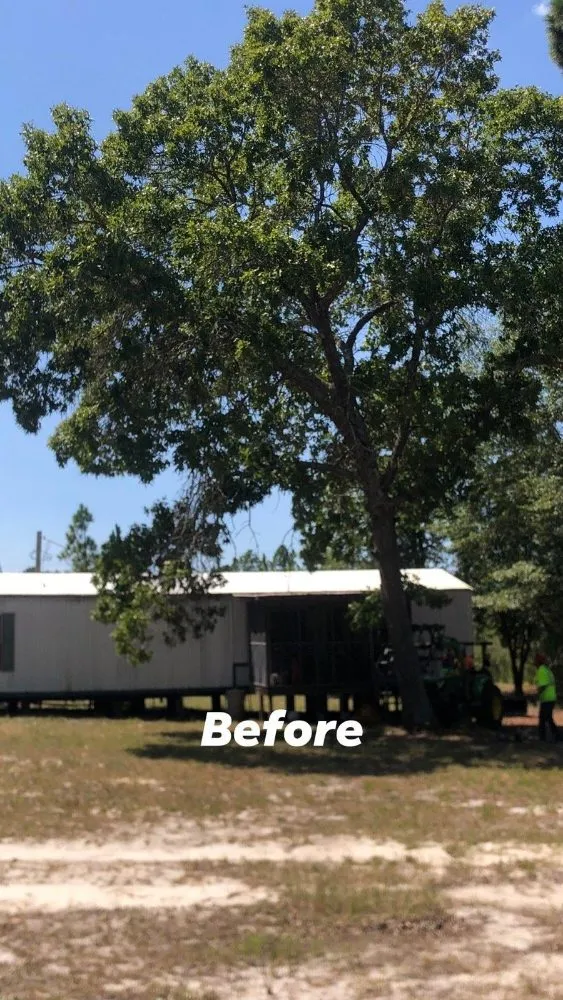 Reliable landscape installation experts serving Maxton, NC - C&T LANDSCAPING