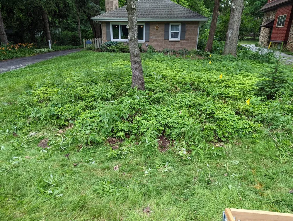 Reliable garden landscaping in New Berlin, WI - CT Landscaping