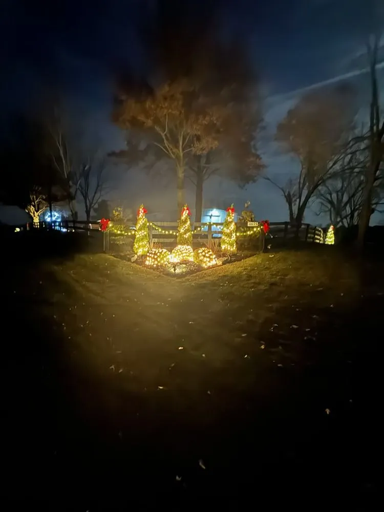 Affordable residential landscaping for beautiful yards in Lexington, KY by C&T Landscaping Services