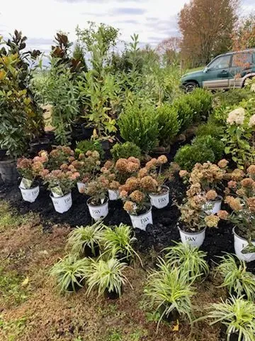 Trusted yard cleanup service for year-round maintenance in Lexington, KY by C&T Landscaping Services