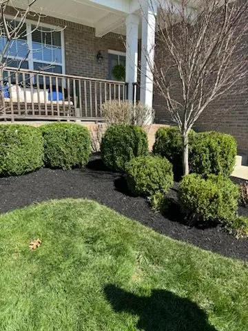Trusted landscape design in Lexington, KY - C&T Landscaping Services