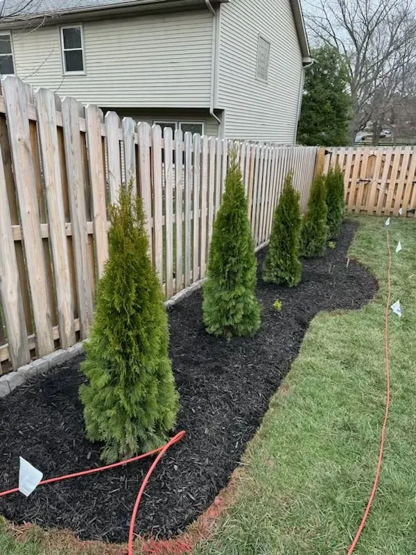 Top-rated garden landscaping experts serving Lexington, KY - C&T Landscaping Services