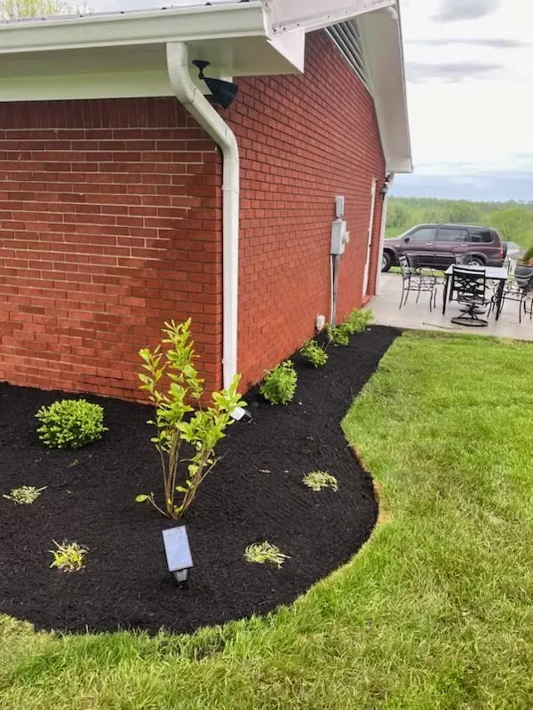 Trusted landscaping services in Lexington, KY - C&T Landscaping Services