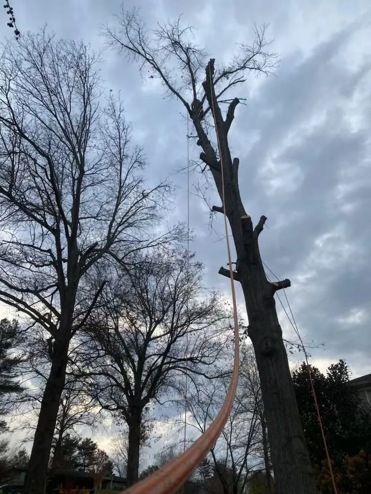 Professional outdoor landscaping for residential properties across Lexington, KY - C&T Landscaping Services