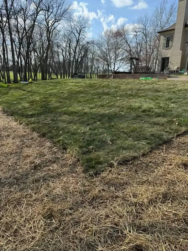 Reliable yard cleanup service in Lexington, KY by C&T Landscaping Services