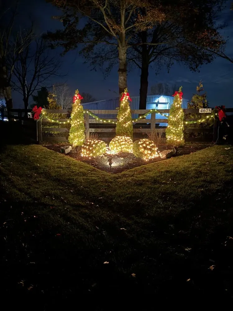 Affordable lawn care service in Lexington, KY - C&T Landscaping Services