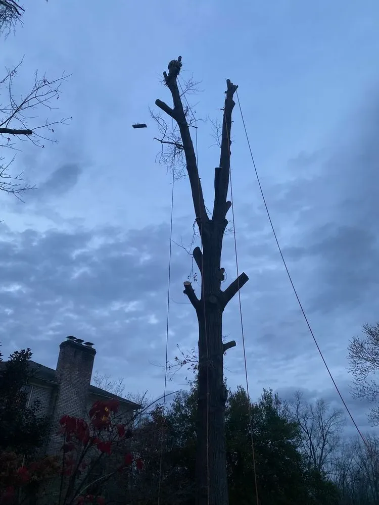 Custom garden landscaping for beautiful yards in Lexington, KY by C&T Landscaping Services