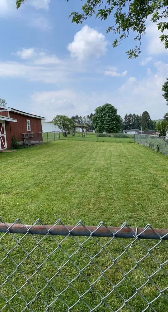 Trusted yard cleanup service experts serving Tallmansville, WV - CT Lawn Care and Pressure washing