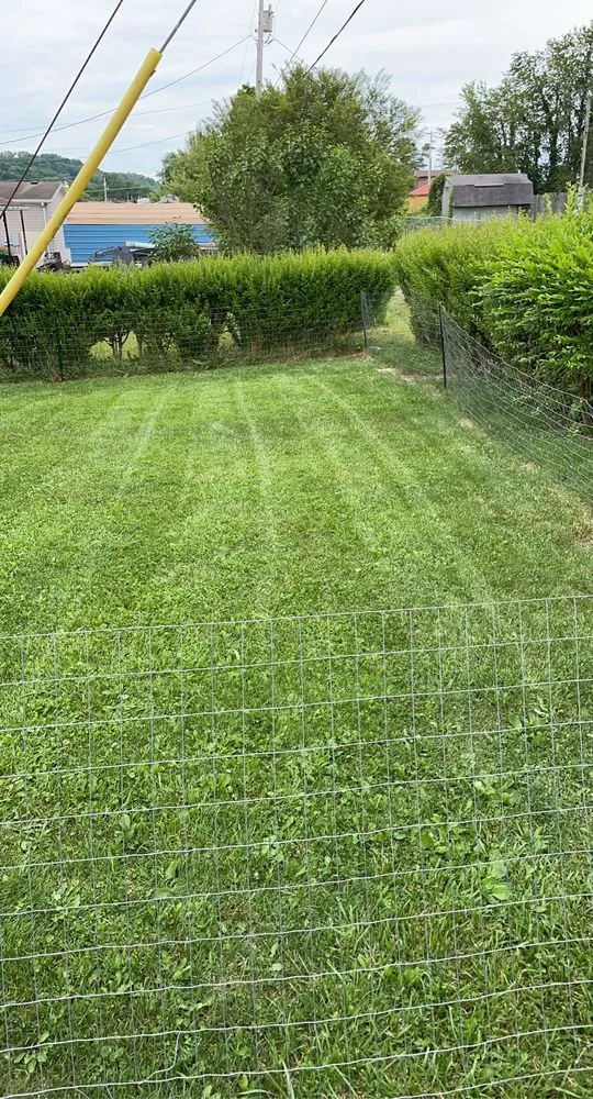 Custom lawn care service for residential properties across Tallmansville, WV - CT Lawn Care and Pressure washing