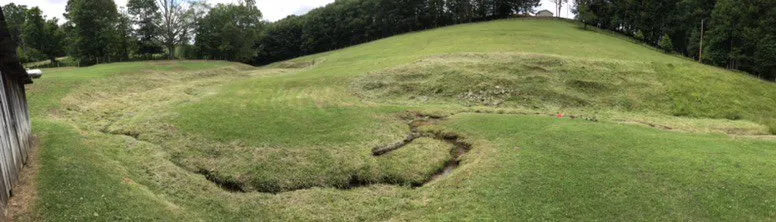 Trusted lawn care service in Tallmansville, WV by CT Lawn Care and Pressure washing