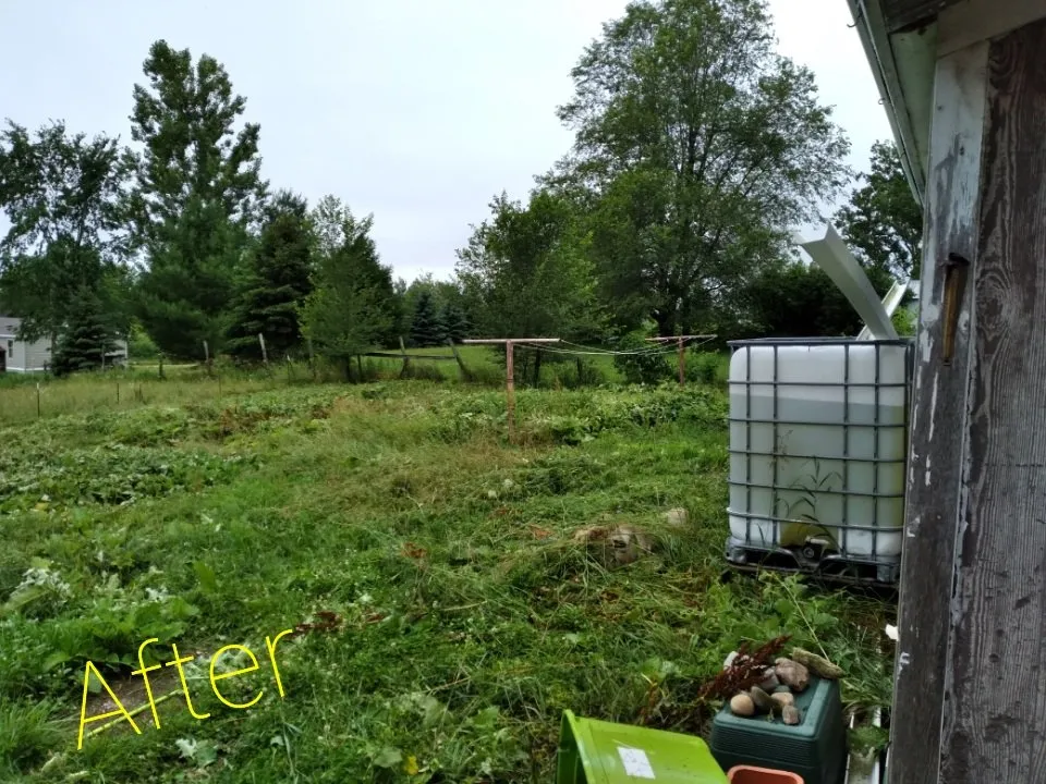 Reliable lawn mowing service in Manton, MI - CT Lawn Care