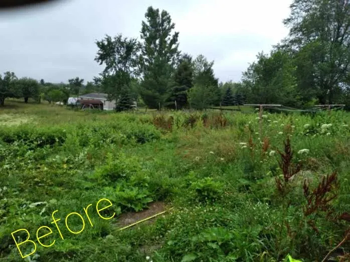 Trusted lawn care service for homes in Manton, MI by CT Lawn Care