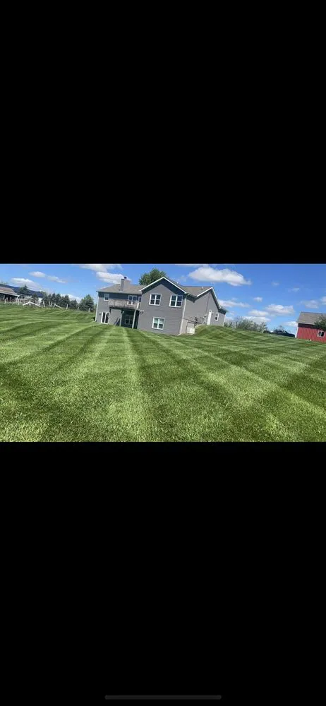 Reliable residential landscaping experts serving Bancroft, MI - CT Lawn Service