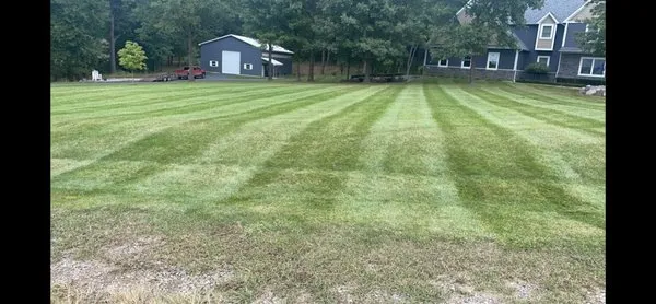 CT Lawn Service Logo