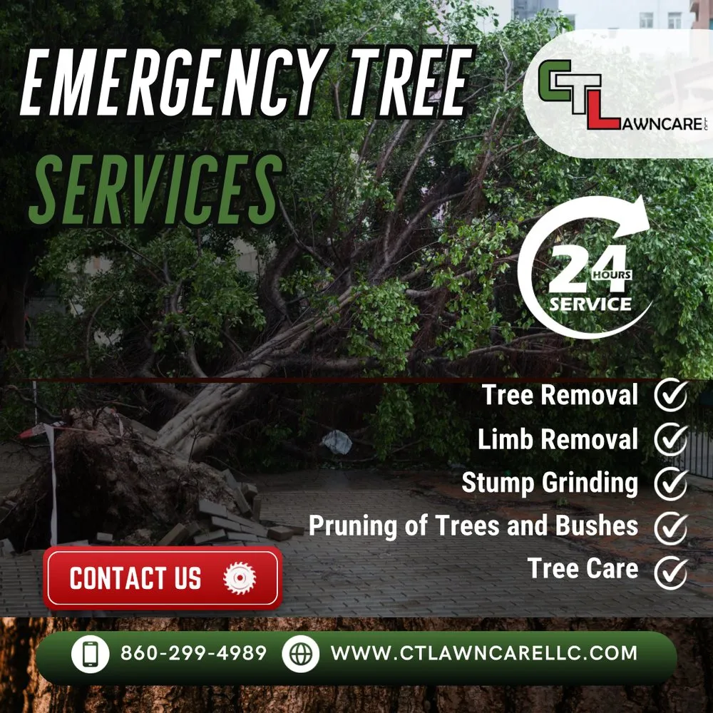 Local garden landscaping experts serving Suffield, CT - CT Lawncare