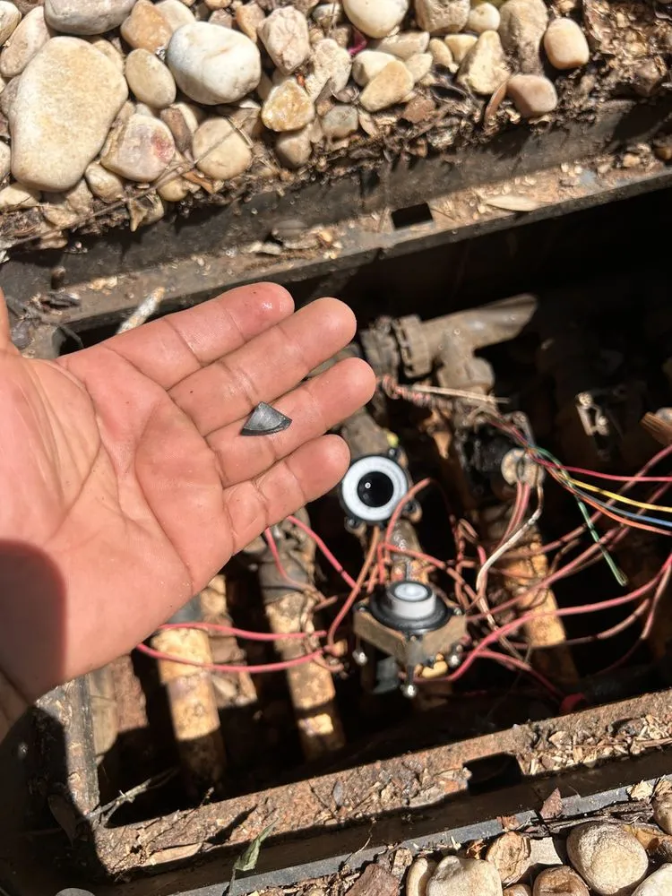 Professional landscape design experts serving Albany, GA - CT Maintenance and Landscaping