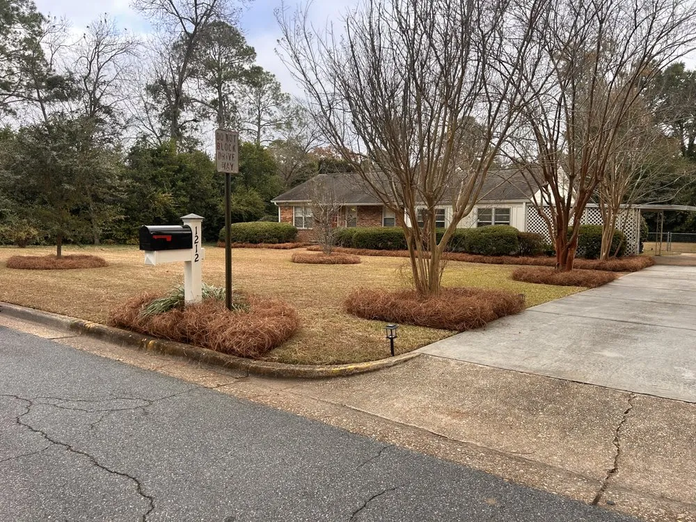 Expert yard cleanup service experts serving Albany, GA - CT Maintenance and Landscaping