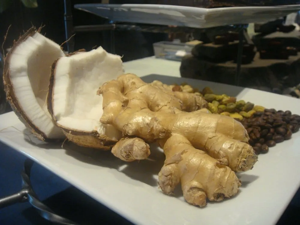 Professional landscaping services experts serving Albany, GA - CT Maintenance and Landscaping