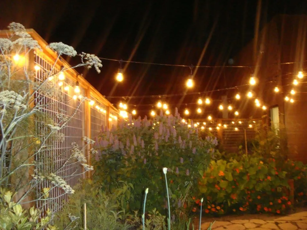 Custom yard maintenance in Albany, GA by CT Maintenance and Landscaping