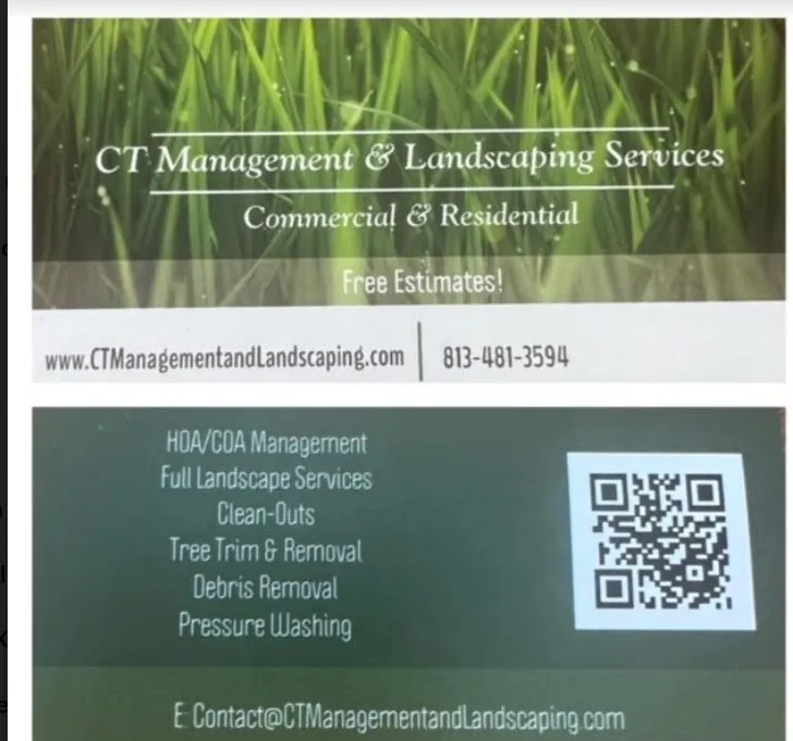 Professional garden landscaping in Greater Northdale, FL by CT Management & Landscaping Services