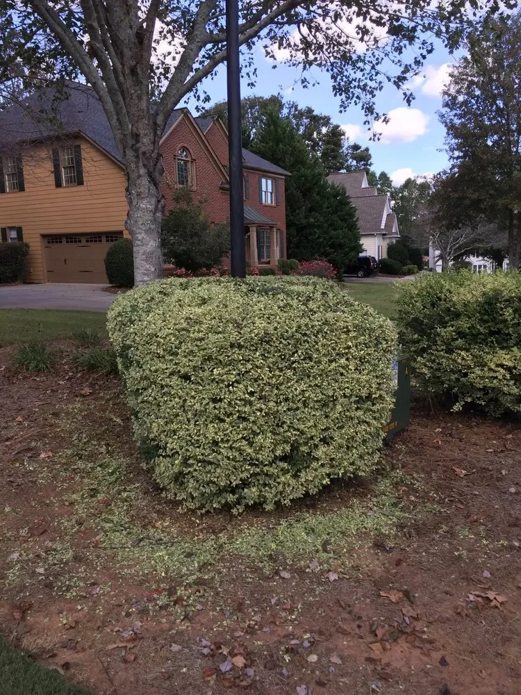 Affordable yard cleanup service with custom design in Gillette, WY by C&T Mechanics and More